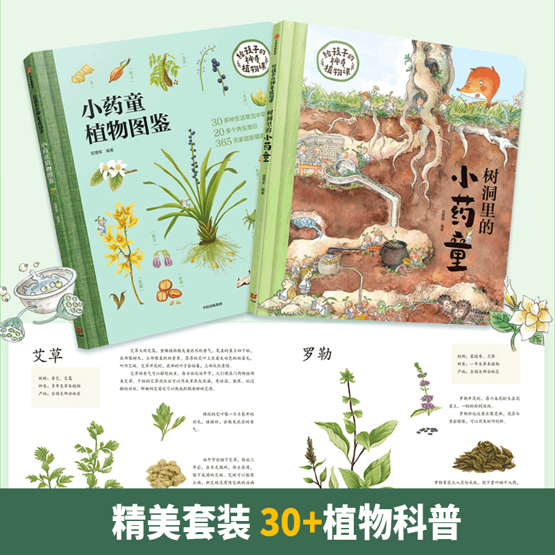 树洞里的小药童植物图鉴给孩子的神奇植物课（全2册）狐狸家著揭密百草园里的中草药常识储备自然植物科普百科知识诗词童话书籍-图0