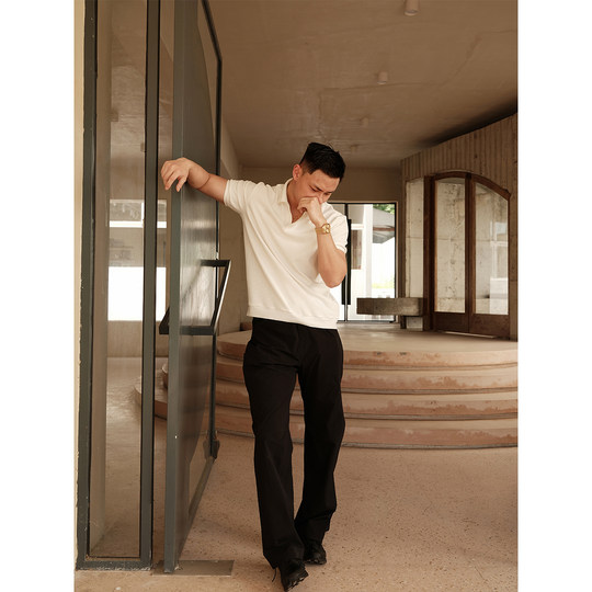 GTAL美式海鸥领POLO衫短袖男士轻薄通勤商务针织弹力板正T恤上衣