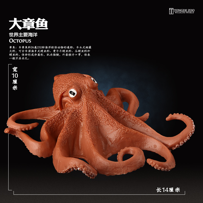 童德章鱼玩具仿真海洋软体动物模型海底生物八爪鱼乌贼鱿鱼-图3