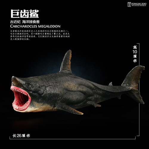 童德巨齿鲨仿真动物模型玩具海洋生物鲨鱼大白鲨锤头虎鲨儿童男孩 - 图0