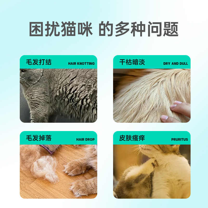 伊乐芙6号猫咪沐浴露洗澡布偶长毛英短香波留香沐浴液洗护二合一,淘宝优惠券,粉丝福利购,淘宝优惠卷