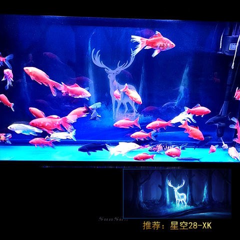 鱼缸背景纸画高清图3d立体水族箱贴纸龙鱼缸壁纸造景装饰星空定制 - 图1