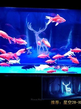 鱼缸背景纸画高清图3d立体水族箱贴纸龙鱼缸壁纸造景装饰星空定制