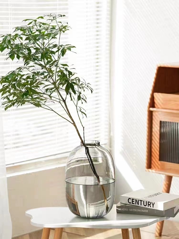 【爆款特惠】日式轻奢极简麻醉木水培绿植花瓶客厅插花可爱大肚瓶,淘宝优惠券,粉丝福利购,淘宝优惠卷