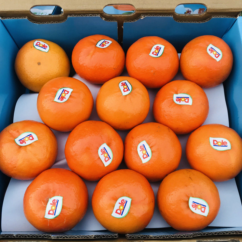 【顺丰包邮】都乐沃柑礼盒装广西武鸣新鲜沃柑橘子新鲜孕妇水果,淘宝优惠券,粉丝福利购,淘宝优惠卷