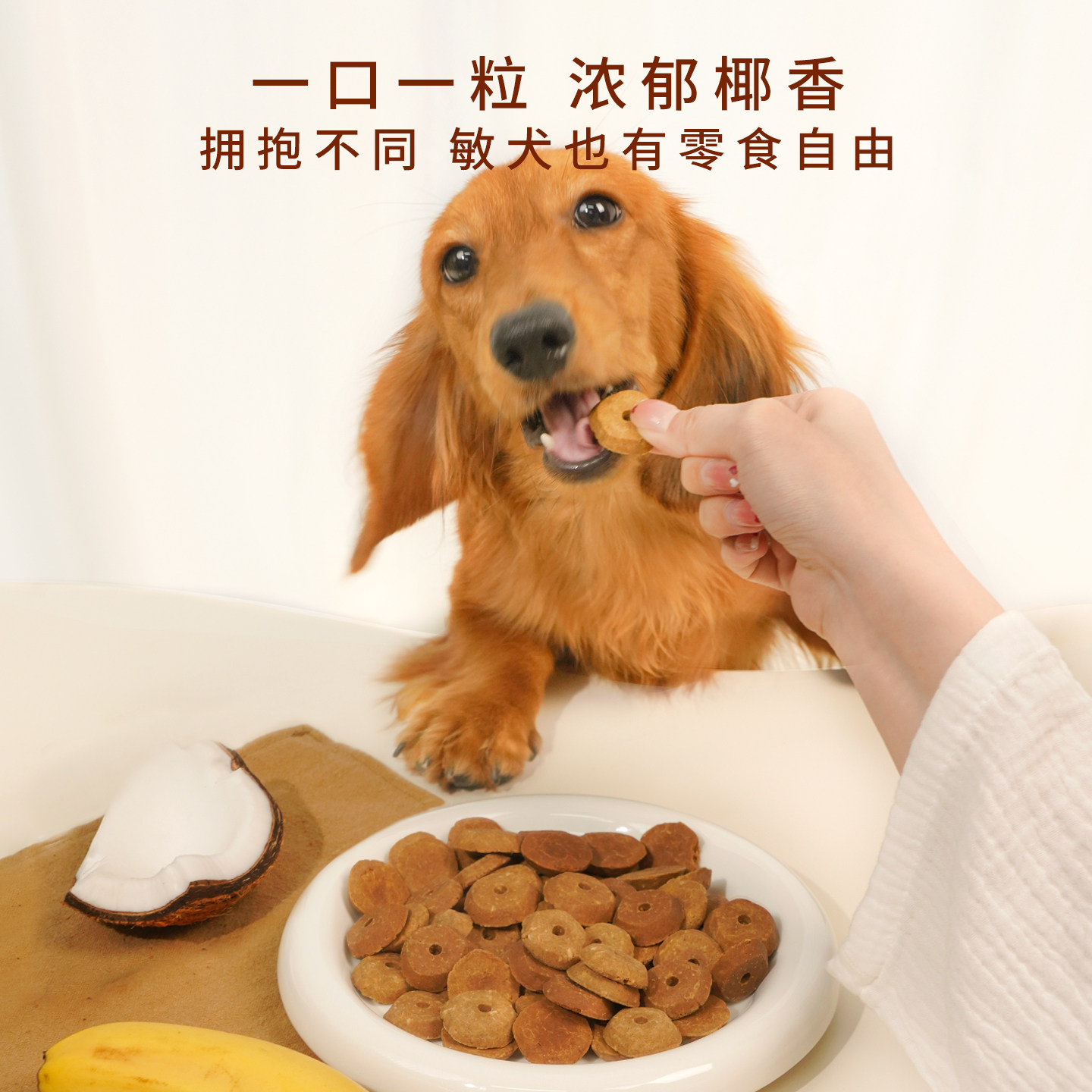 太阳家椰椰烘焙饼干香蕉菠萝果味补充能量零麸质低负担狗奖励零食,淘宝优惠券,粉丝福利购,淘宝优惠卷