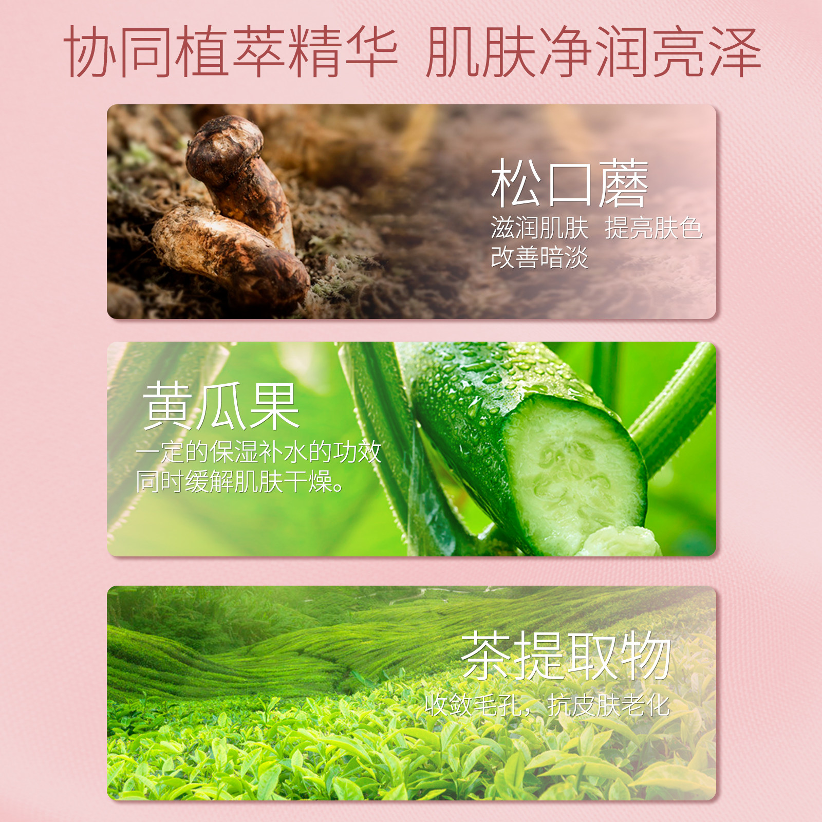 芳华瓷肌护肤品水乳套装女正品清爽 SHICUNDO面部护理套装