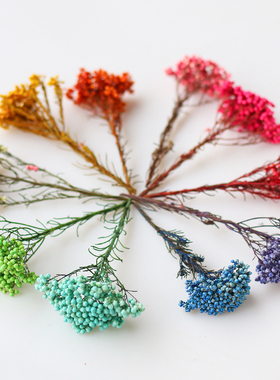 馥蕾 diy香薰蜡牌制作浮游花瓶装饰永生花小米花挂牌装饰点缀干花