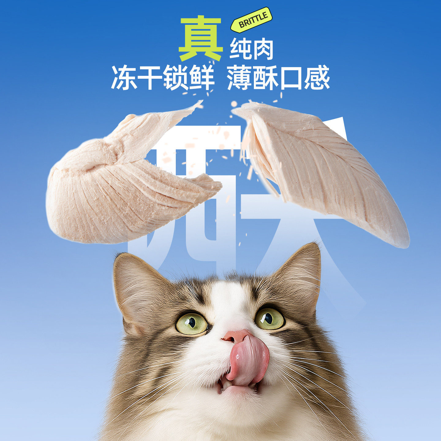 图 2