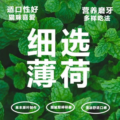 猫草薄荷饼干助排毛化毛猫草棒幼猫补充营养冻干猫草粒块宠物零食 - 图1