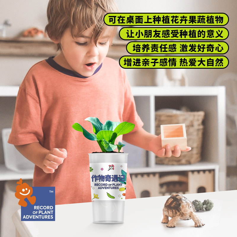 种子随机【作物奇遇记】儿童种植盆栽盲盒