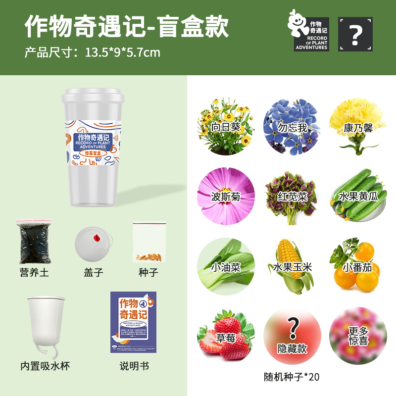 儿童家庭种植小盆栽科学观察水果花卉植物盲盒迷你小花农发芽农场