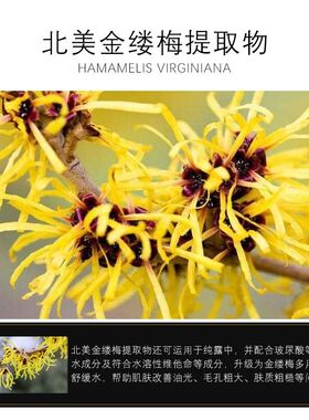 正品保证 保湿柔肤水 好莉卡小棕瓶明润补水保湿柔肤水
