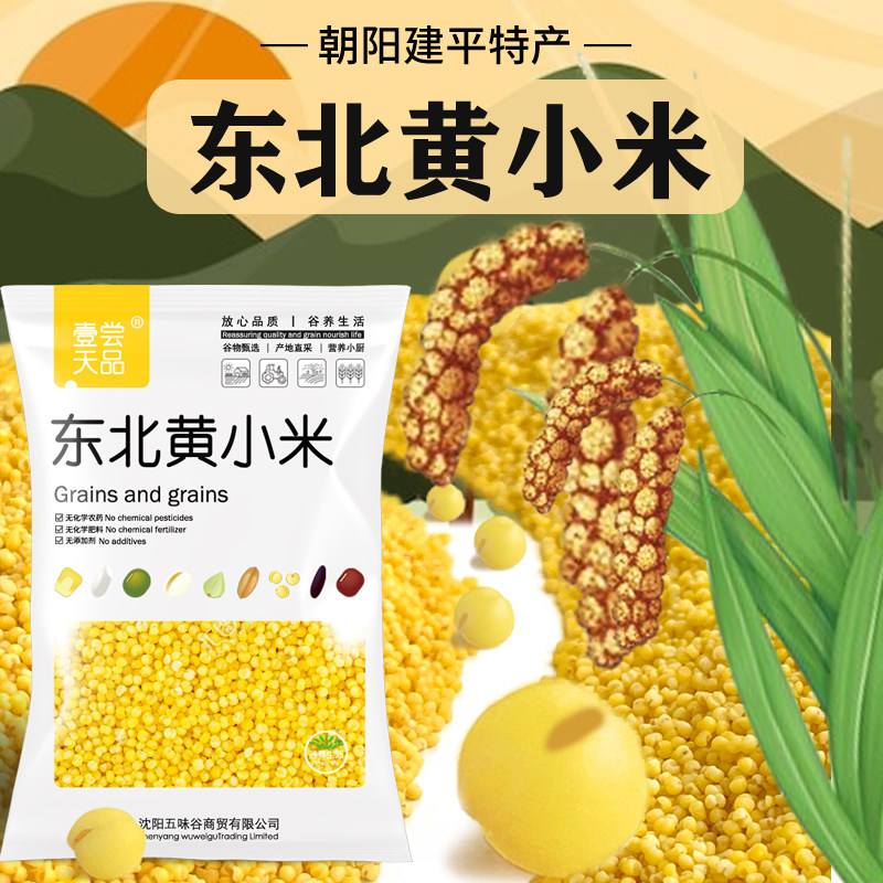 东北朝阳黄小米2025年农家新鲜米月子早餐糯小米熬粥五谷杂粮粗粮