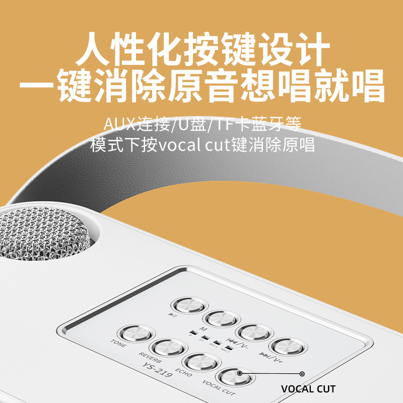 家庭ktv音响套装点歌机家用麦克风 顾东流KTV/卡拉OK音箱
