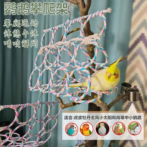 鹦鹉玩具攀爬网鸟用品吊床虎皮玄凤牡丹和尚啃咬藤编秋千训练解压 - 图2