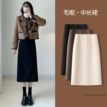 Winter half-body dress Women in length 2023 new high waist winter dress A word bag hip skirt black fur Dresses autumn and winter