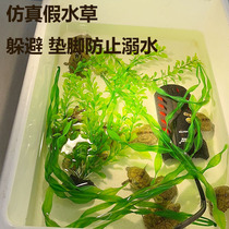 Breeding Turtle Emulation Aqua Grass Fake Water Grass Shelter From Stress Climbing Terrace Build View Decoration Plant Drowning Prevention Water Grass Turtle Egg Tortoise