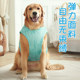 大狗狗凉凉衣夏季薄款冰丝透气降温运动背心宠物衣服金毛拉布拉多