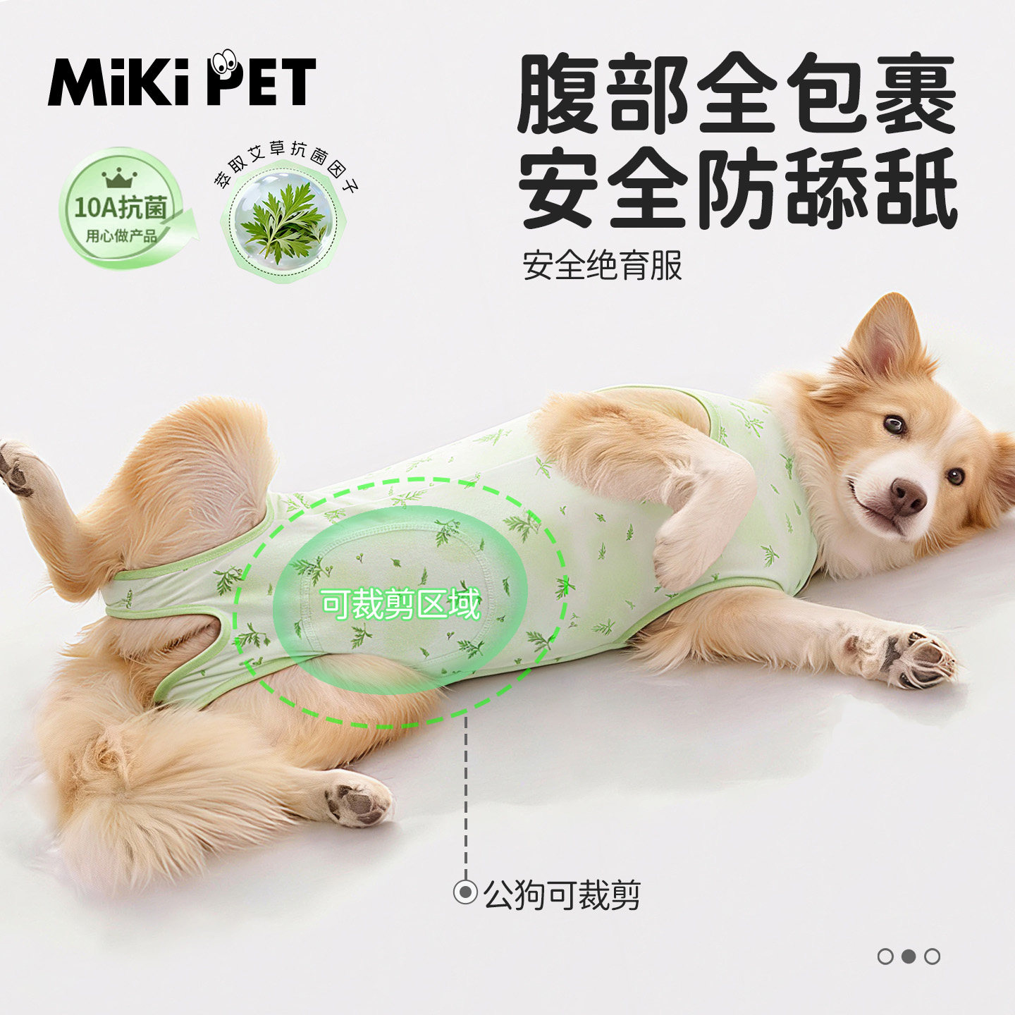 Recommended by pet doctors | Anti-cold and anti-licking surgical clothing for male dogs