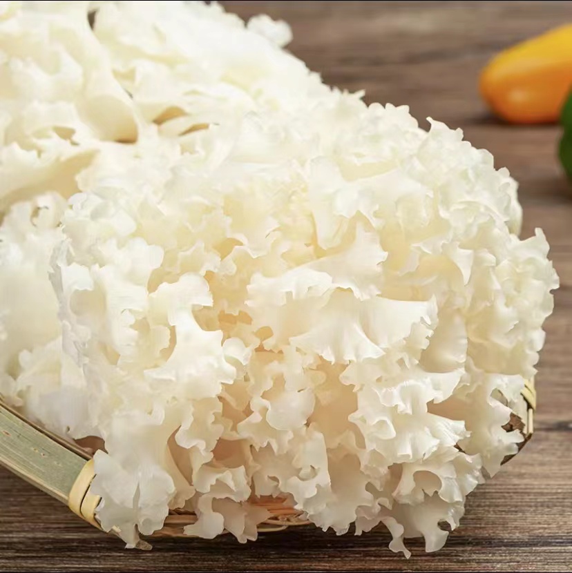 新鲜绣球菌2斤装火锅煲汤食材精品绣球菌绣球菇银耳绣球菌新鲜,淘宝优惠券,粉丝福利购,淘宝优惠卷