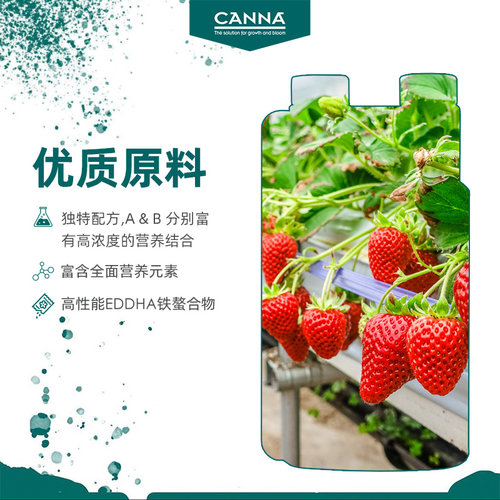 荷兰无土栽培CANNA SUBSTRA Flores A花卉果肥兰花专用植物营养液 - 图2