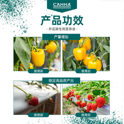 荷兰无土栽培CANNA SUBSTRA Flores A花卉果肥兰花专用植物营养液 - 图1