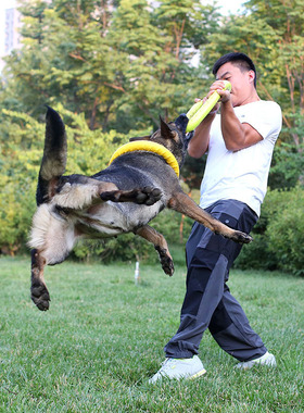 Dog Toys Pet Flying Discs EVA Dog Training Ring Puller Resis