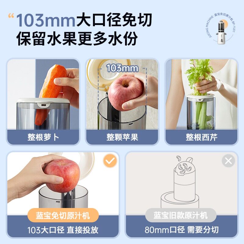  Blaupunkt海外榨汁机