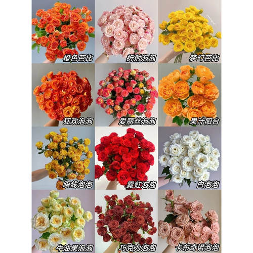 多头泡泡玫瑰基地直发玫瑰鲜花百合花家用插花鲜切花束 - 图0