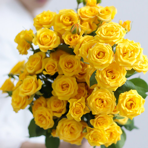 多头泡泡玫瑰基地直发玫瑰鲜花百合花家用插花鲜切花束 - 图2