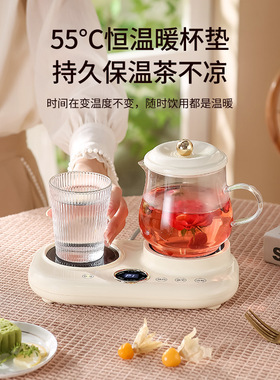 玻璃养生壶多功能自动烧水鸳鸯炖煮茶壶保温一体电炖杯双杯煮茶器