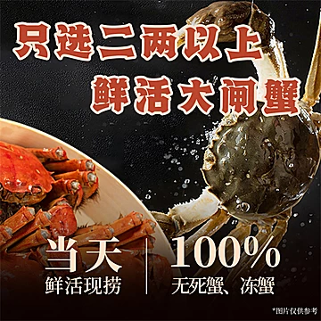 真尝家松鹤楼蟹黄拌面[13元优惠券]-寻折猪