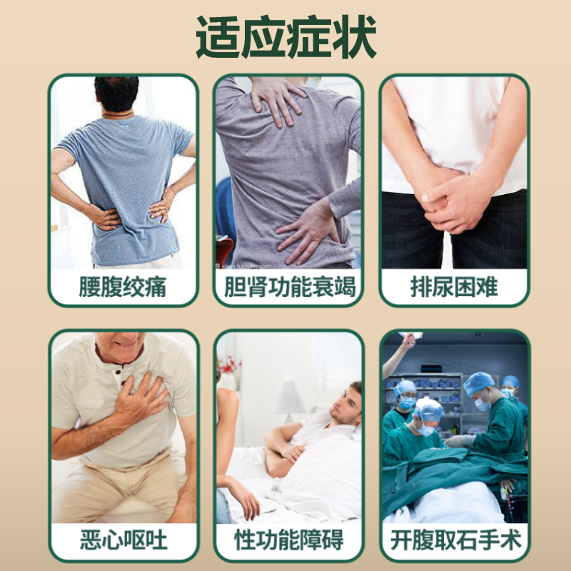  nihon医药海外国际肝胆药品