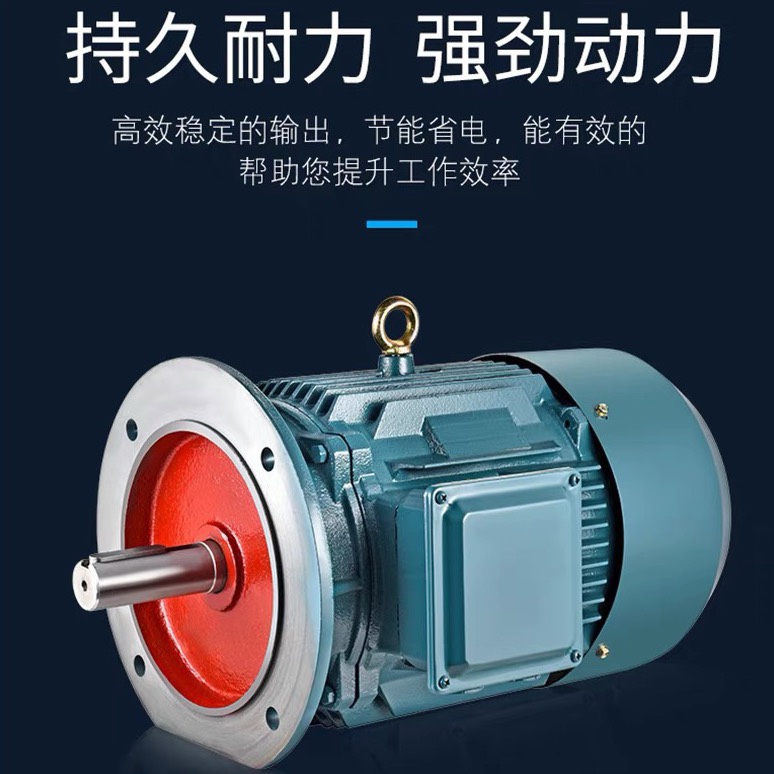 三相异步电动机Y100L2-4 3KWYE3100L-6 1.5KW2.2/1.1全铜国标380V - 图2