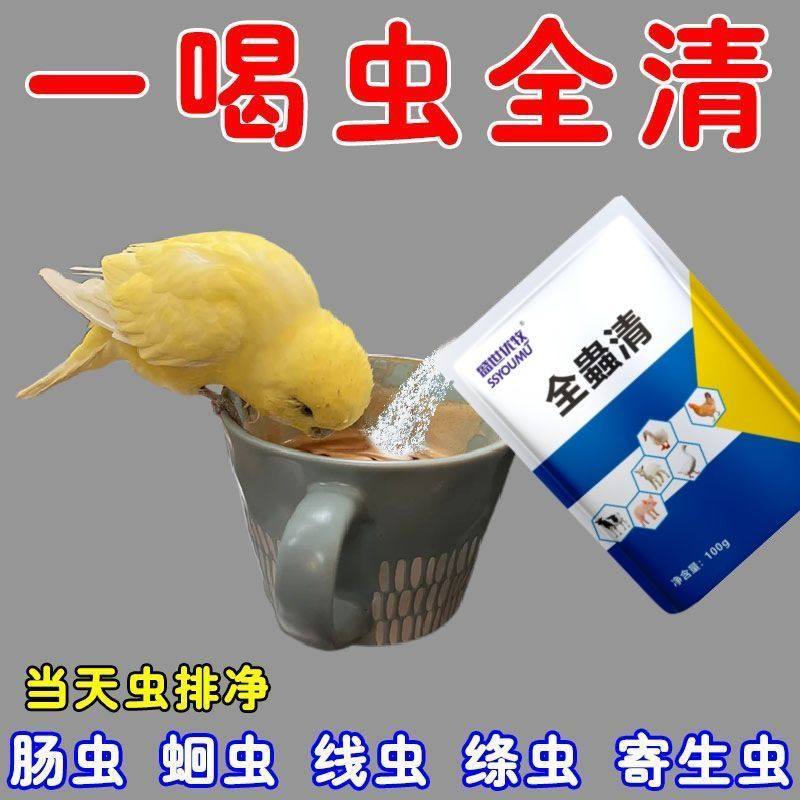 鹦鹉体内体外驱虫鹦鹉八哥鸽子画眉鸟咬毛啄羽寄生虫蛔虫肠胃清虫,淘宝优惠券,粉丝福利购,淘宝优惠卷