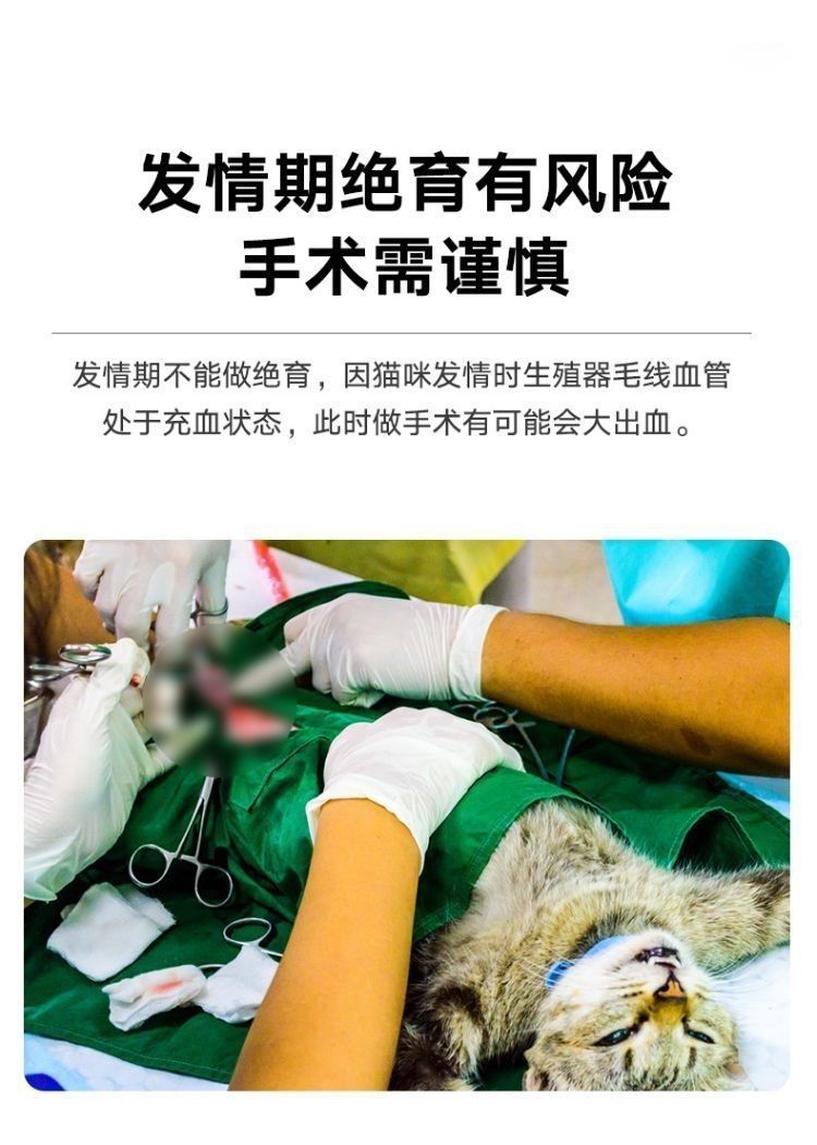 猫咪发情抑制药母猫专用宠物公猫发情防闹猫叫的抑情片非避孕绝育 - 图2