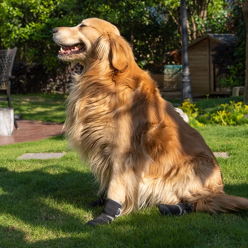 Jane Pod Pet Dog Dog Shoes Summer Speat Sole-Anticalding Water Boots Outdoor Labrador Golden Retriever Play Water