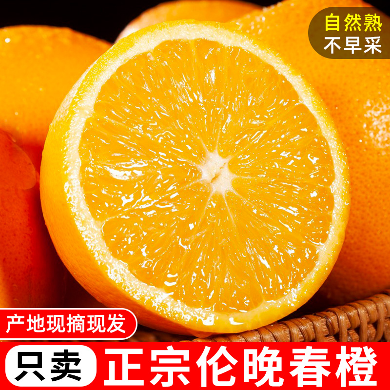 湖北秭归伦晚春橙脐橙新鲜时令应季水果新鲜大果整箱包邮冰糖甜橙