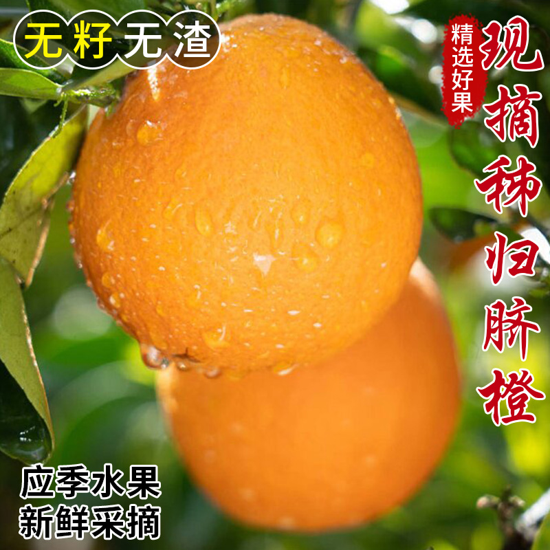 秭归脐橙新鲜时令水果礼盒彩箱橙子9斤现摘赣褚爱南媛手剥果冻甜