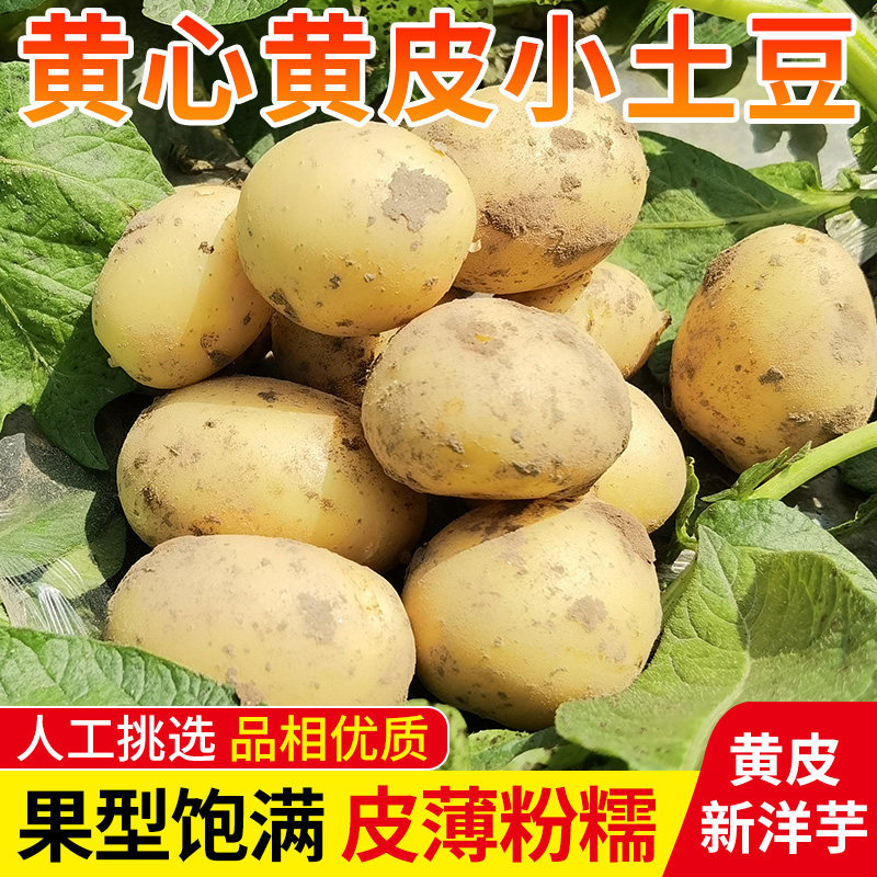 图 5