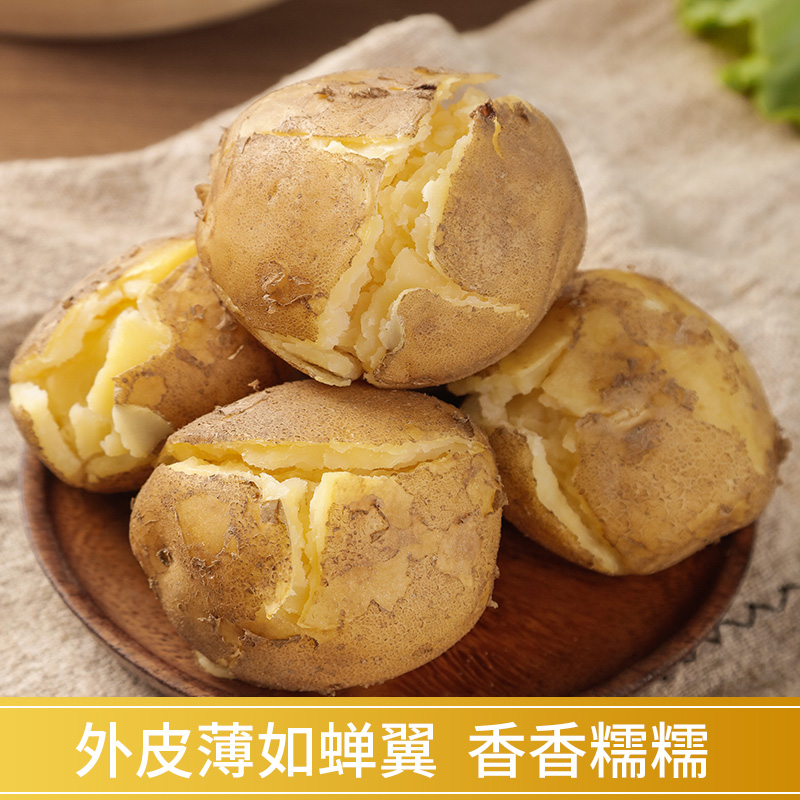 定西沙面大土豆新鲜当季蔬菜现挖马铃薯黄心洋芋甘肃高原整箱批发