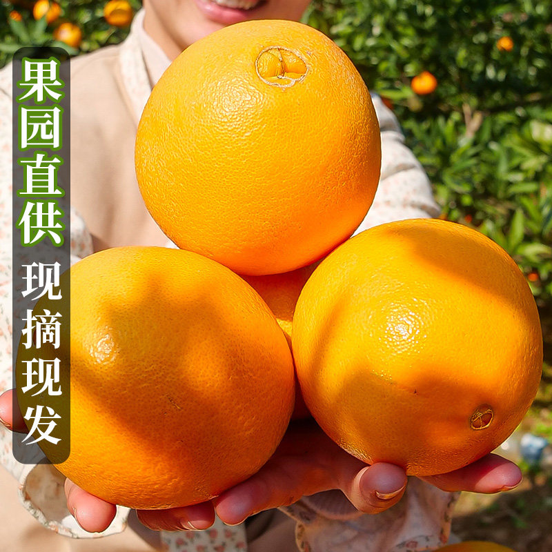 秭归正宗夏橙5斤新鲜时令应季顺丰包邮水果整箱春橙冰糖手剥橙子