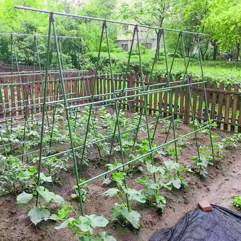 花架爬藤架园艺支撑杆葡萄黄瓜豆角丝瓜月季蔬菜种植包塑钢管支架-图0