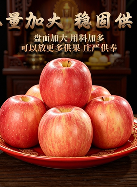 陶瓷供果盘家用平底莲花果盘佛前供盘供奉菩萨供品盘上供贡品盘子