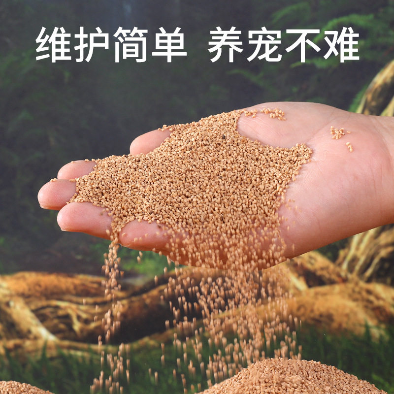 鹦鹉粪便垫料核桃砂玉米芯鸟笼鸟窝专用垫材除臭沙颗粒清理神器,淘宝优惠券,粉丝福利购,淘宝优惠卷