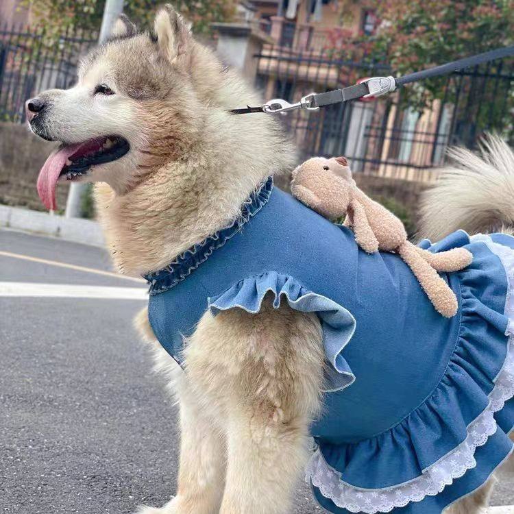 宠物狗狗衣服巨贵萨摩耶金毛阿拉斯加中大型犬大狗牛仔背心裙春夏,淘宝优惠券,粉丝福利购,淘宝优惠卷