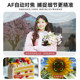 Songdian dc202 camera digital high definition travel student party girl carry small retro entry-level micro single vlog
