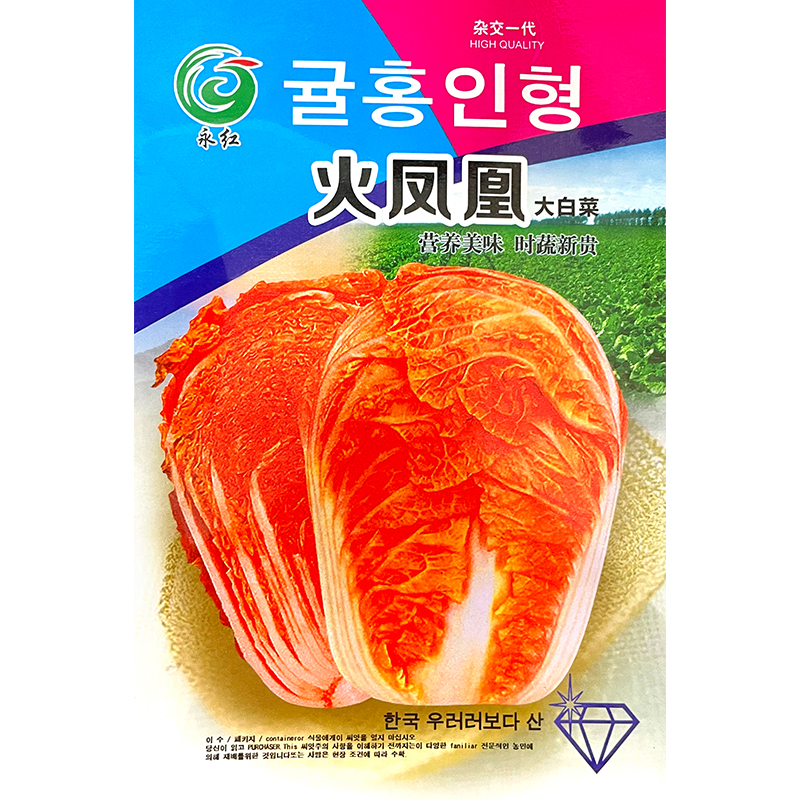 火凤凰大白菜种子红白菜种籽新品种彩色橘红心白菜籽胶州四季秋季 - 图1