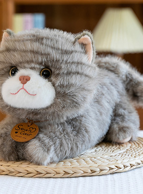 呆萌慵懒花纹猫毛绒玩具萌宠家居摆件办公玩偶夜市套圈礼品批发